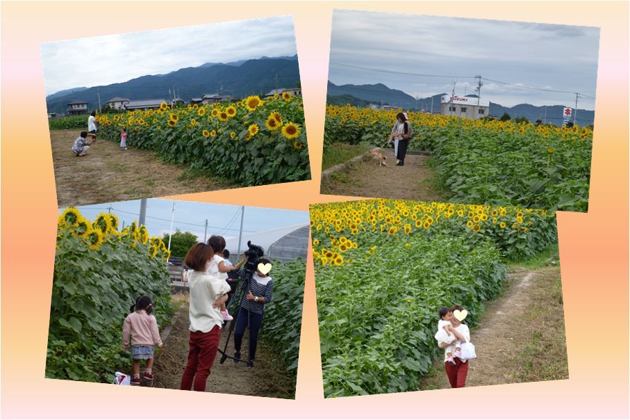d0347025_19552433.jpg