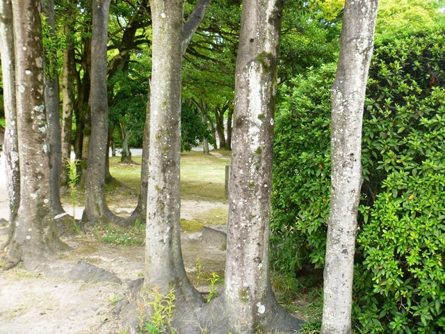 d0137326_09381228.jpg