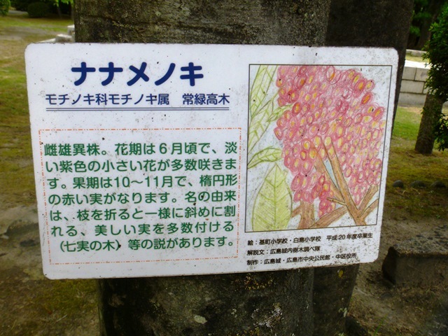 d0137326_09381704.jpg