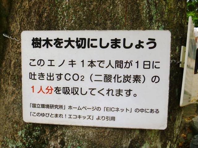 d0137326_09381909.jpg
