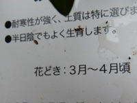 e0033229_18123721.jpg