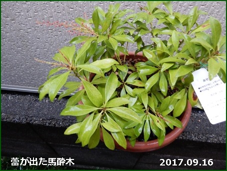 e0033229_18144121.jpg