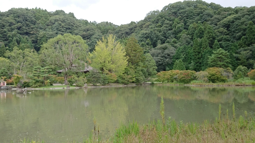 e0137130_21414984.jpg