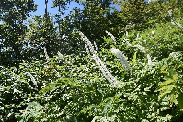 b0341133_11134329.jpg