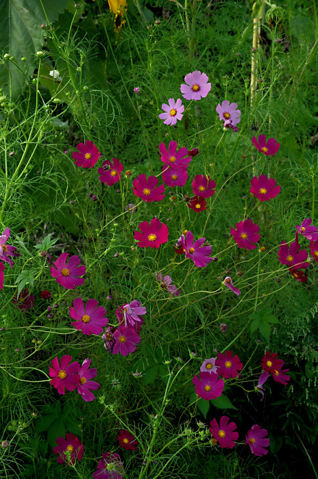 c0172234_07255697.jpg
