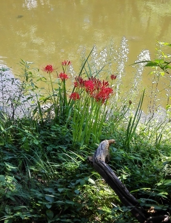 a0248540_15293977.jpg