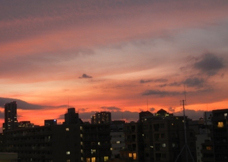a0248540_15570827.jpg