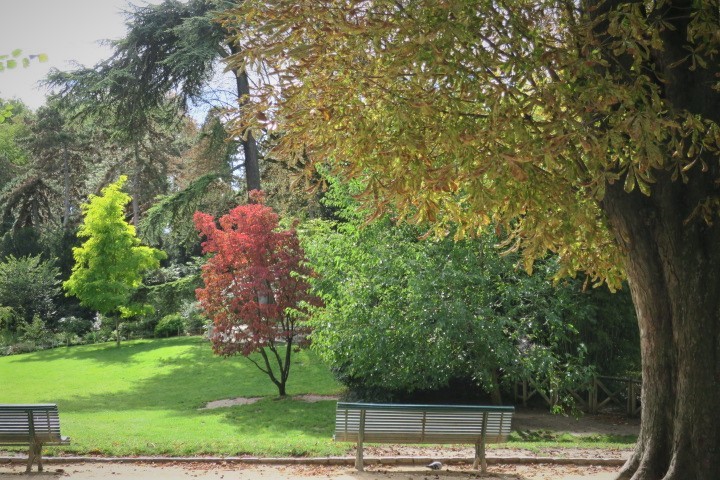 e0300042_05123153.jpg