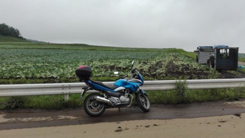 d0035444_17205259.jpg