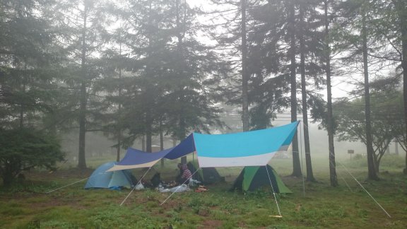 d0035444_1736276.jpg
