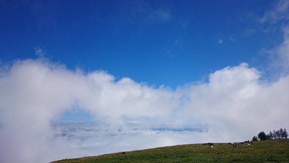 d0035444_17382260.jpg