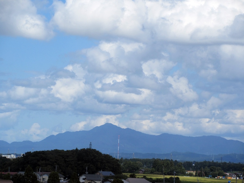b0009849_1739508.jpg