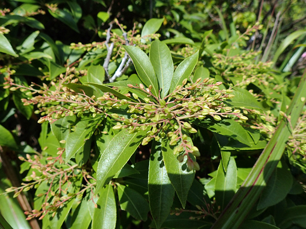 f0214649_03083976.jpg
