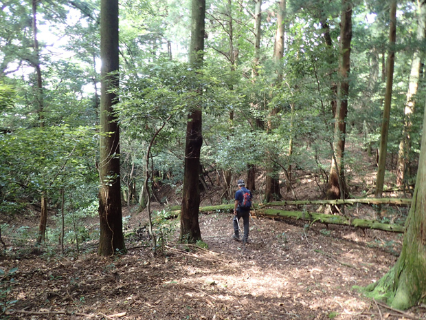 f0214649_03350307.jpg