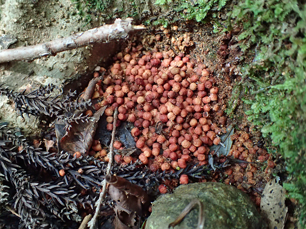 f0214649_03362140.jpg