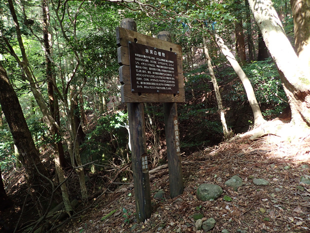 f0214649_03454363.jpg