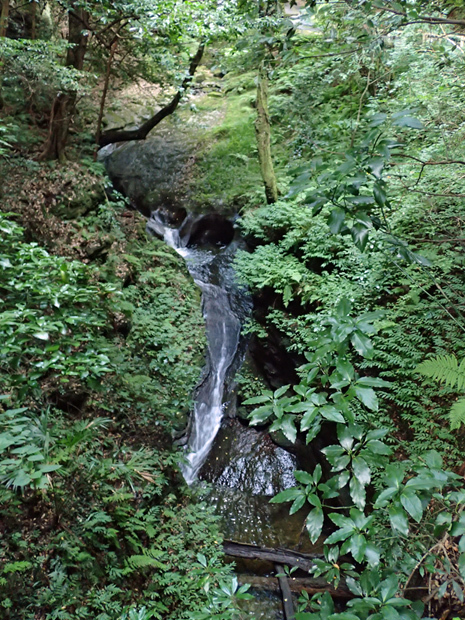 f0214649_04103090.jpg