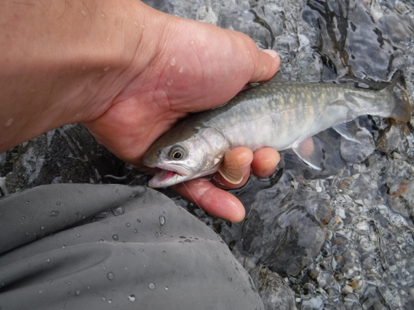 c0249658_22015377.jpg