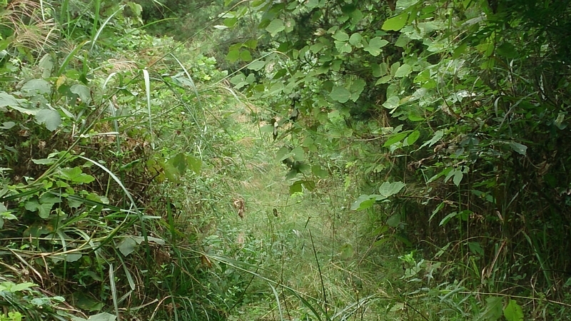 d0132880_23430229.jpg