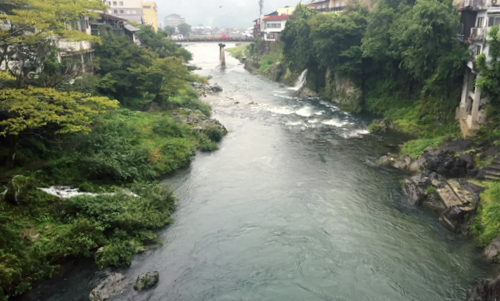 b0029488_23223445.jpg
