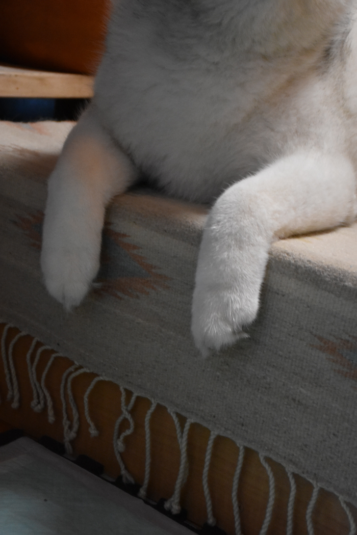 c0049299_21591599.jpg