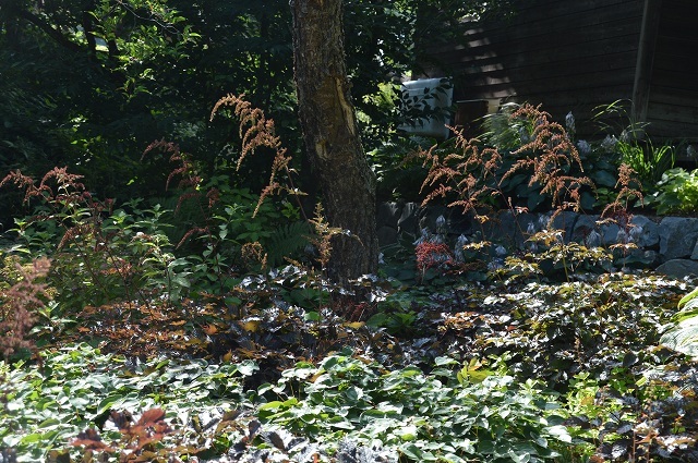 c0124100_17582364.jpg