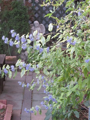f0325309_19185793.jpg