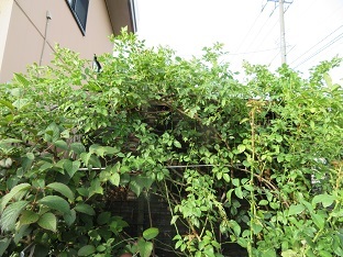 f0325309_19204690.jpg
