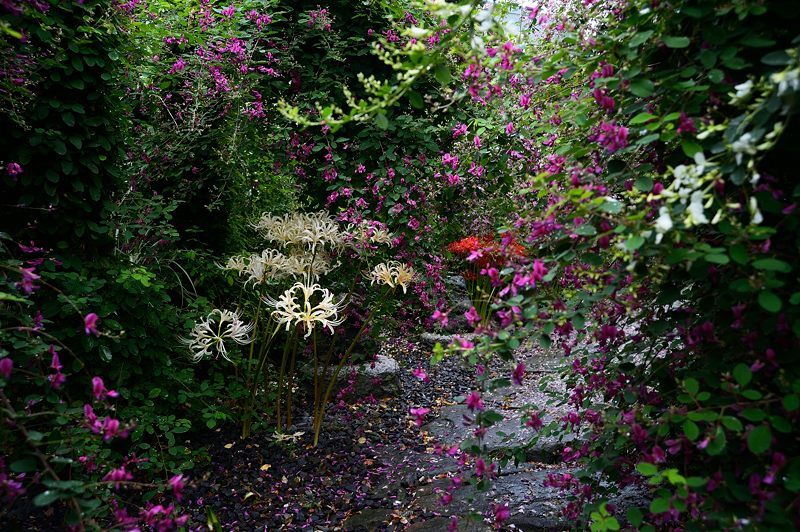 f0032011_17233522.jpg