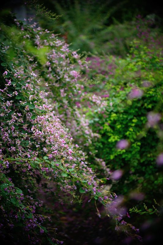 f0032011_17233530.jpg