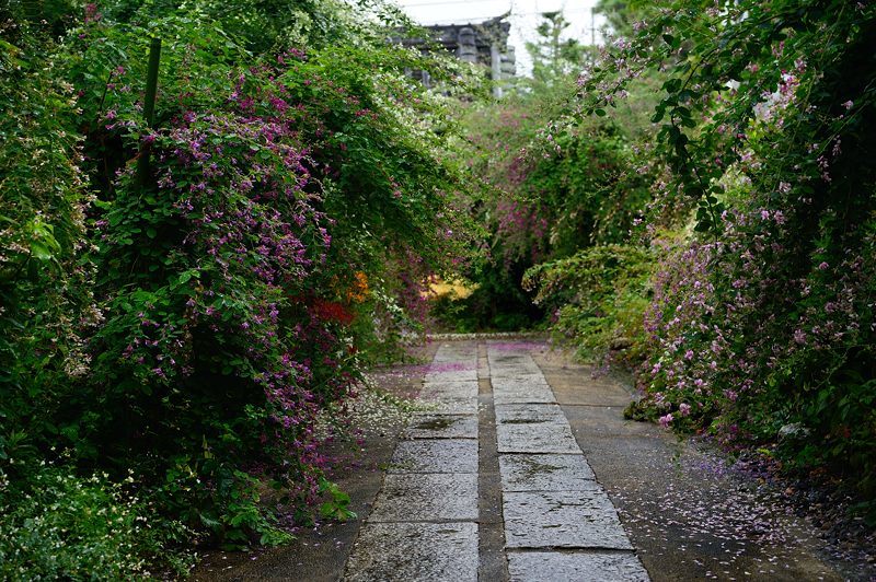 f0032011_17233582.jpg