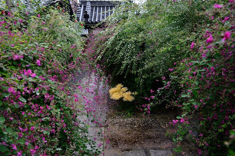 f0032011_17233650.jpg