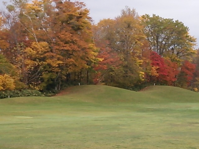 f0227321_17584671.jpg