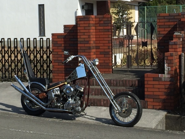 d0177727_20263150.jpg