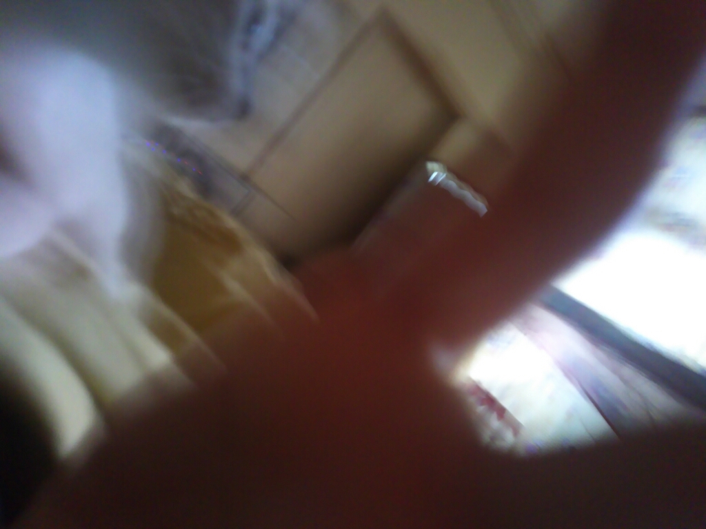 a0090729_07284318.jpg