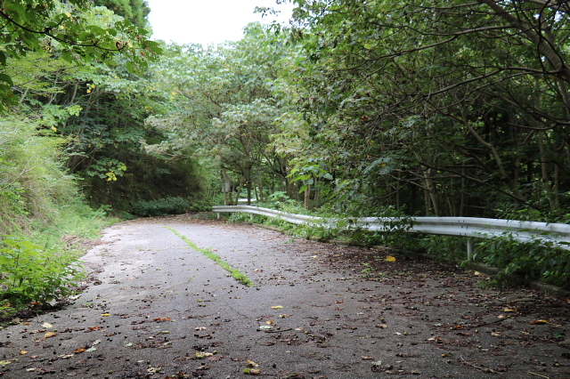 a0222229_6525226.jpg