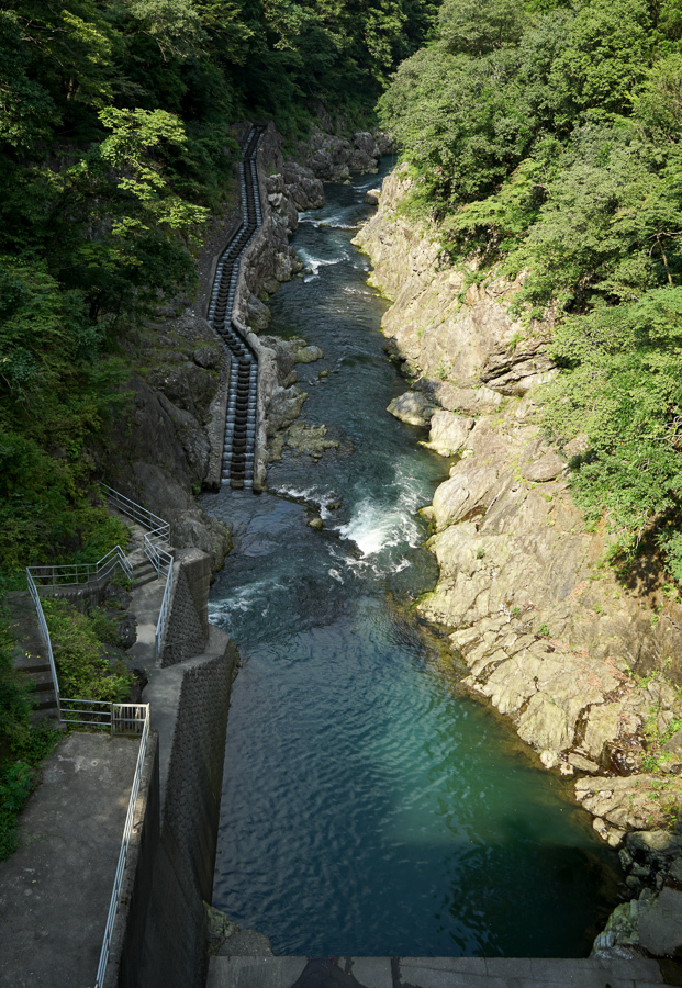f0237034_10120344.jpg