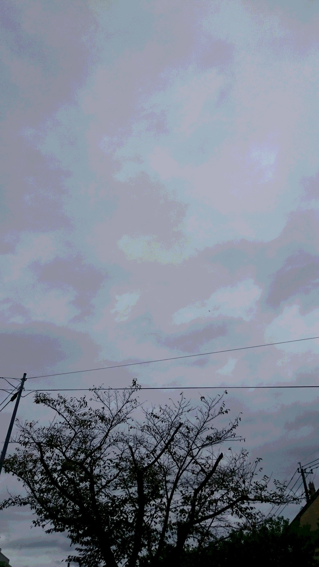 f0202137_00185674.jpg