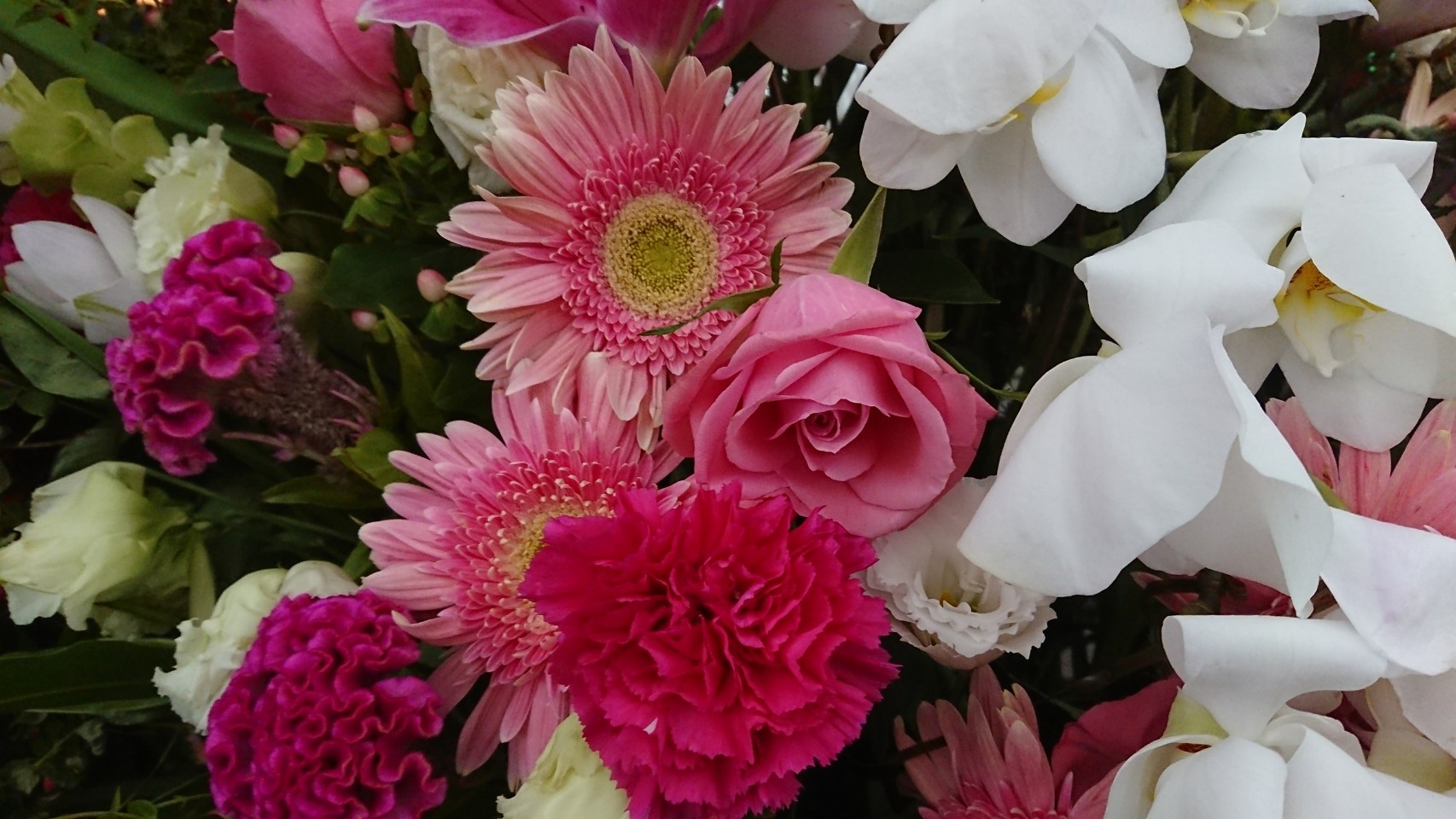 a0014141_00223822.jpg