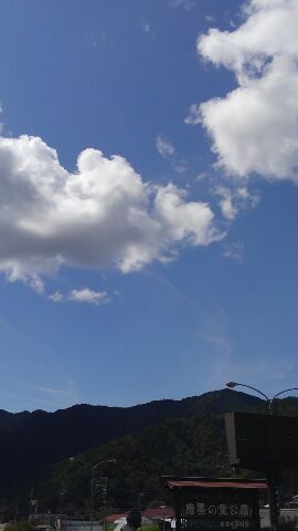 d0035444_19254547.jpg
