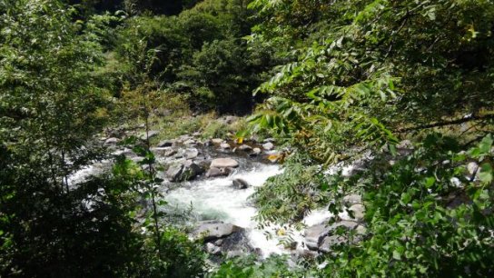 d0035444_19261822.jpg