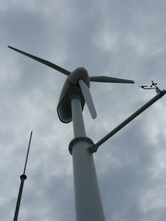 c0179348_14444174.jpg