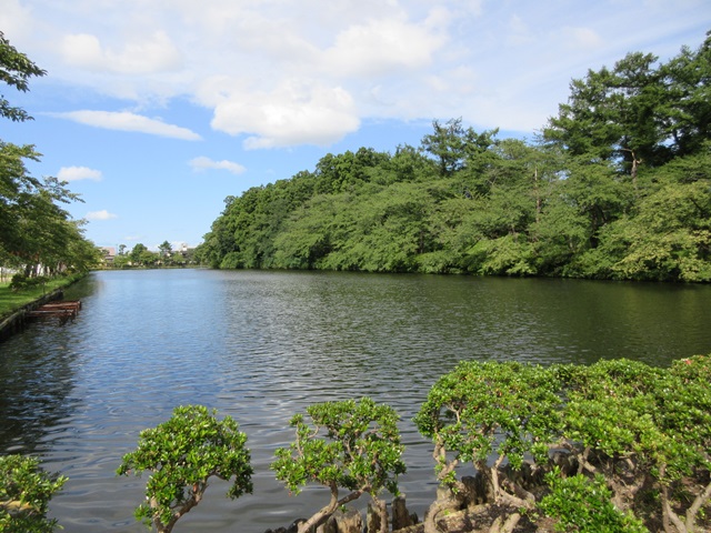 b0009849_2064314.jpg