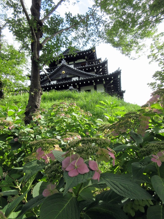 b0009849_2071524.jpg