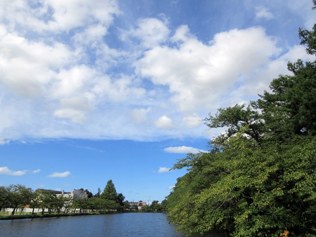 b0009849_207521.jpg