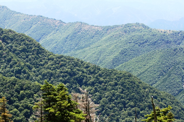 b0289649_957785.jpg