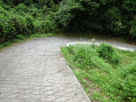 e0172950_9531051.jpg