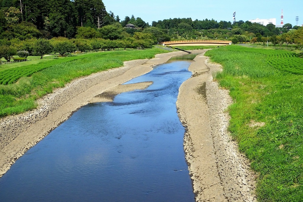 b0236251_10215211.jpg
