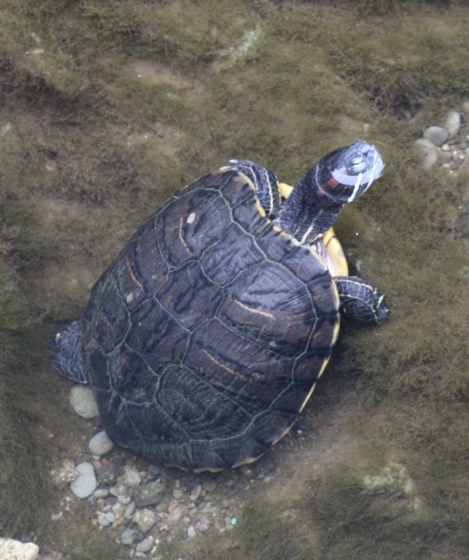 a0248459_18193193.jpg