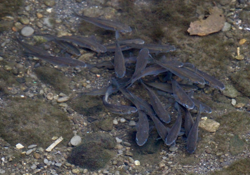 a0248459_18213377.jpg